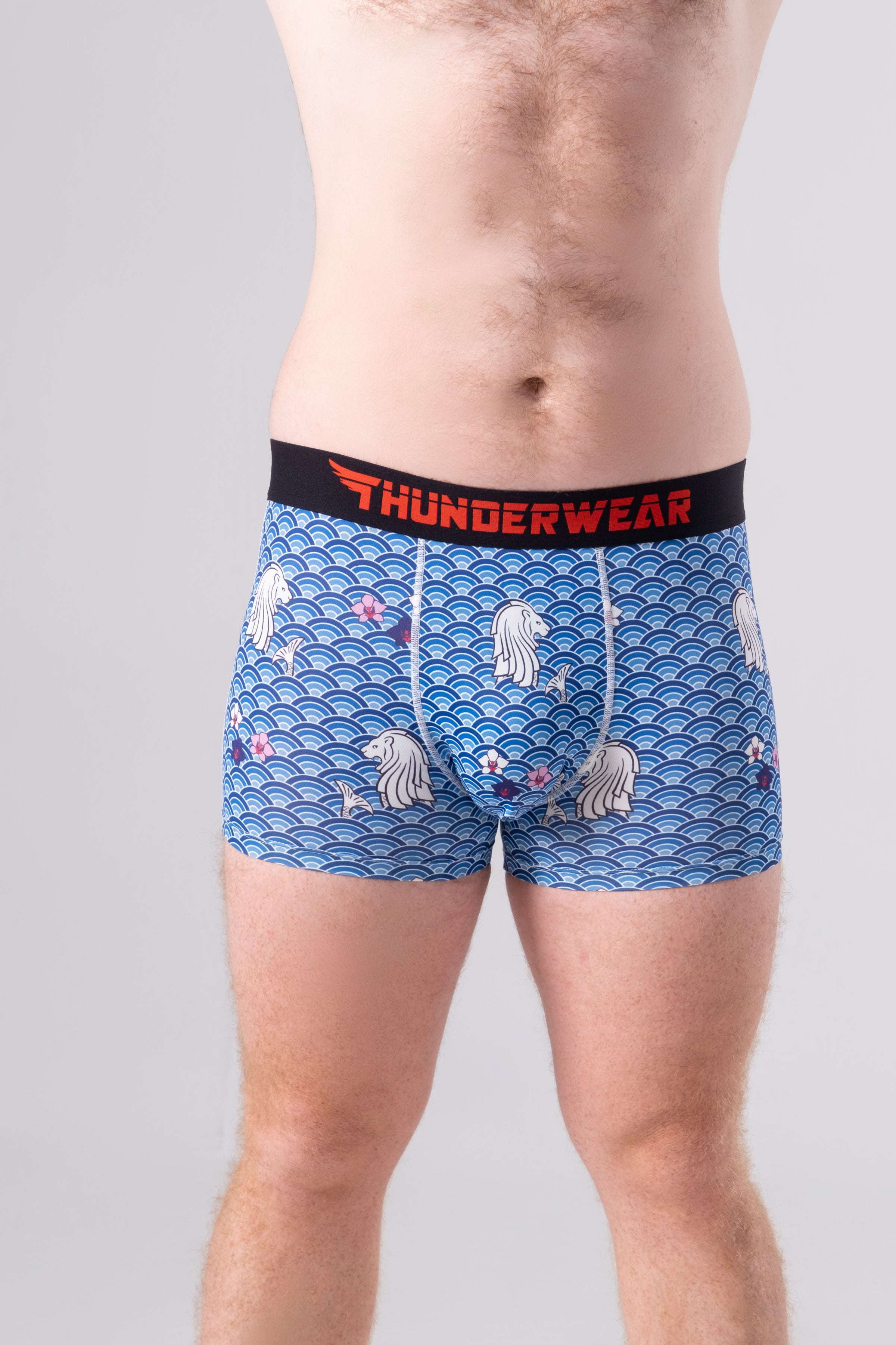Thunderwear Singapura Proud Men's Boxers Briefs - Supporting Eve Lingerie