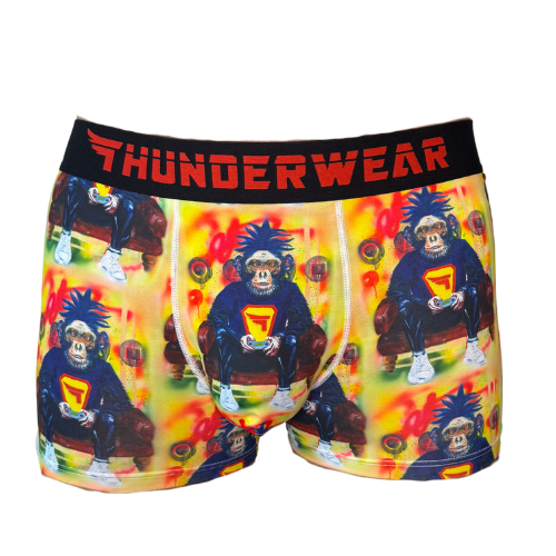 Thunderwear Game Boy Mens Boxer Brief - Supporting Eve Lingerie