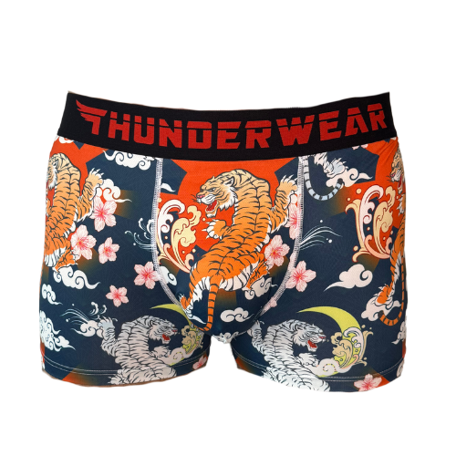 Thunderwear Hidden Dragon, Crouching Tiger Mens Boxer Brief - Supporting Eve Lingerie