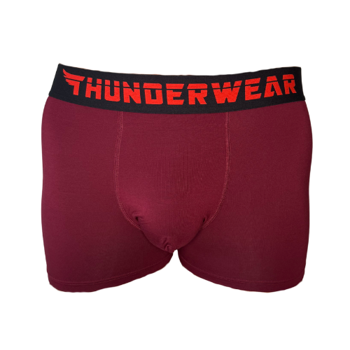 Thunderwear Shiraz Mens Boxer Brief - Supporting Eve Lingerie