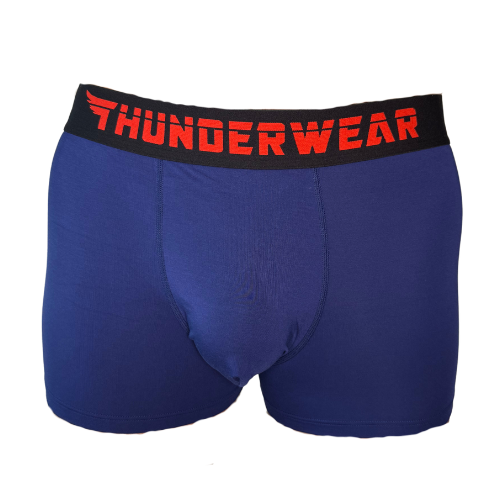 Thunderwear Something Blue Navy Mens Boxer Brief - Supporting Eve Lingerie