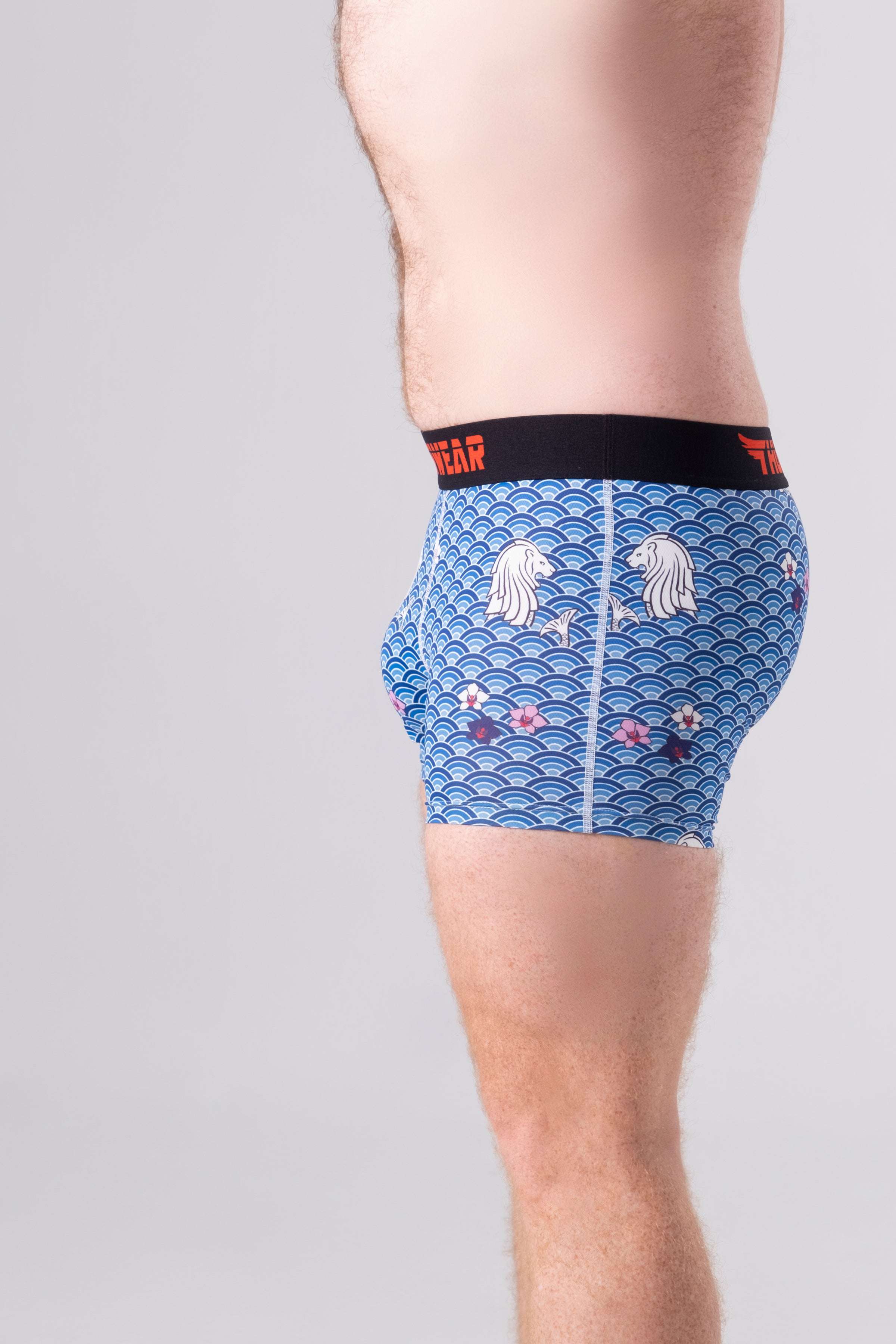 Thunderwear Singapura Proud Men's Boxers Briefs - Supporting Eve Lingerie