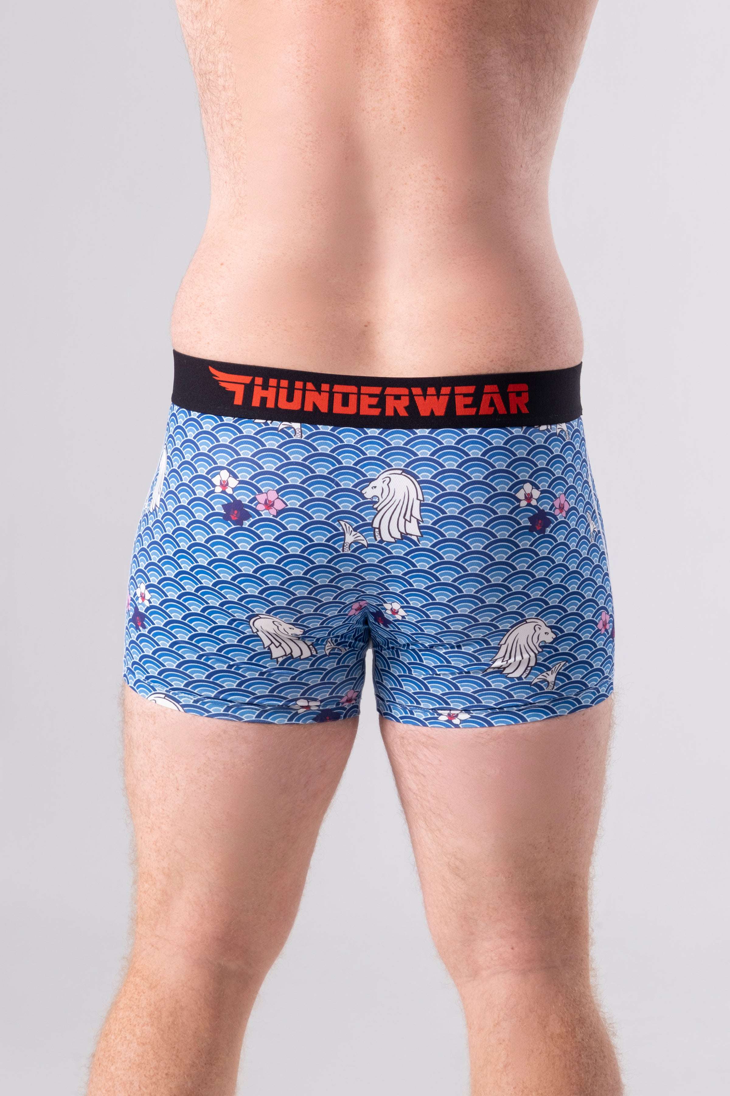Thunderwear Singapura Proud Men's Boxers Briefs - Supporting Eve Lingerie