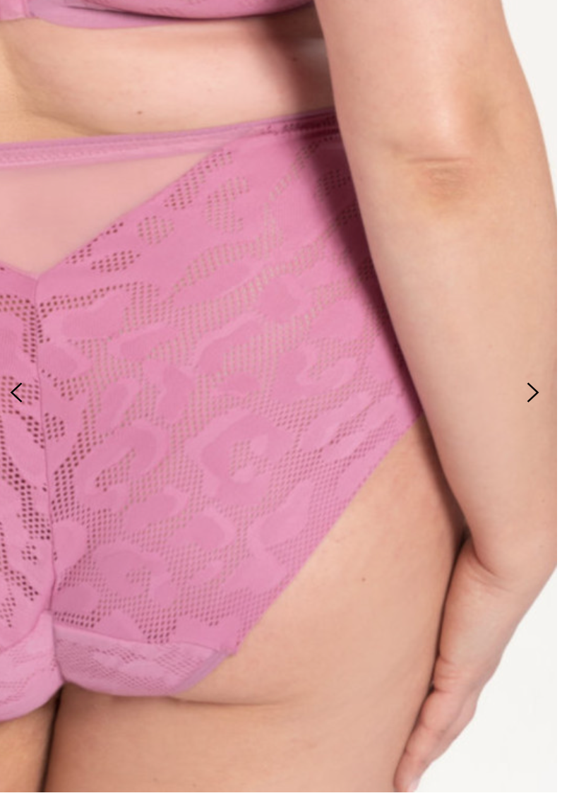 Samanta Alex Classic Brief M500