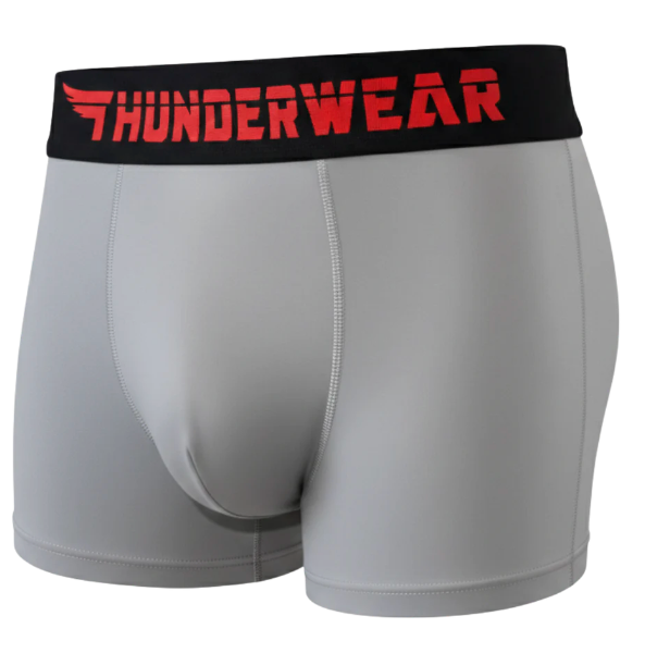 Thunderwear Ironclad Mens Boxer Brief - Supporting Eve Lingerie