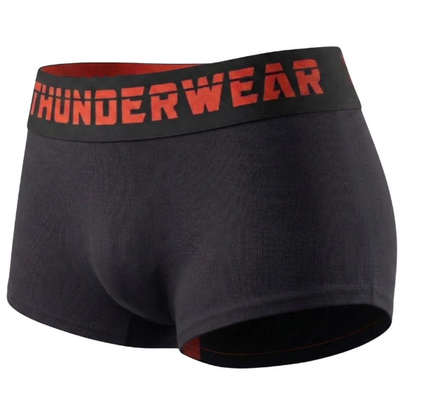 Thunderwear WOMEN'S Midnight Boxer Brief - Supporting Eve Lingerie