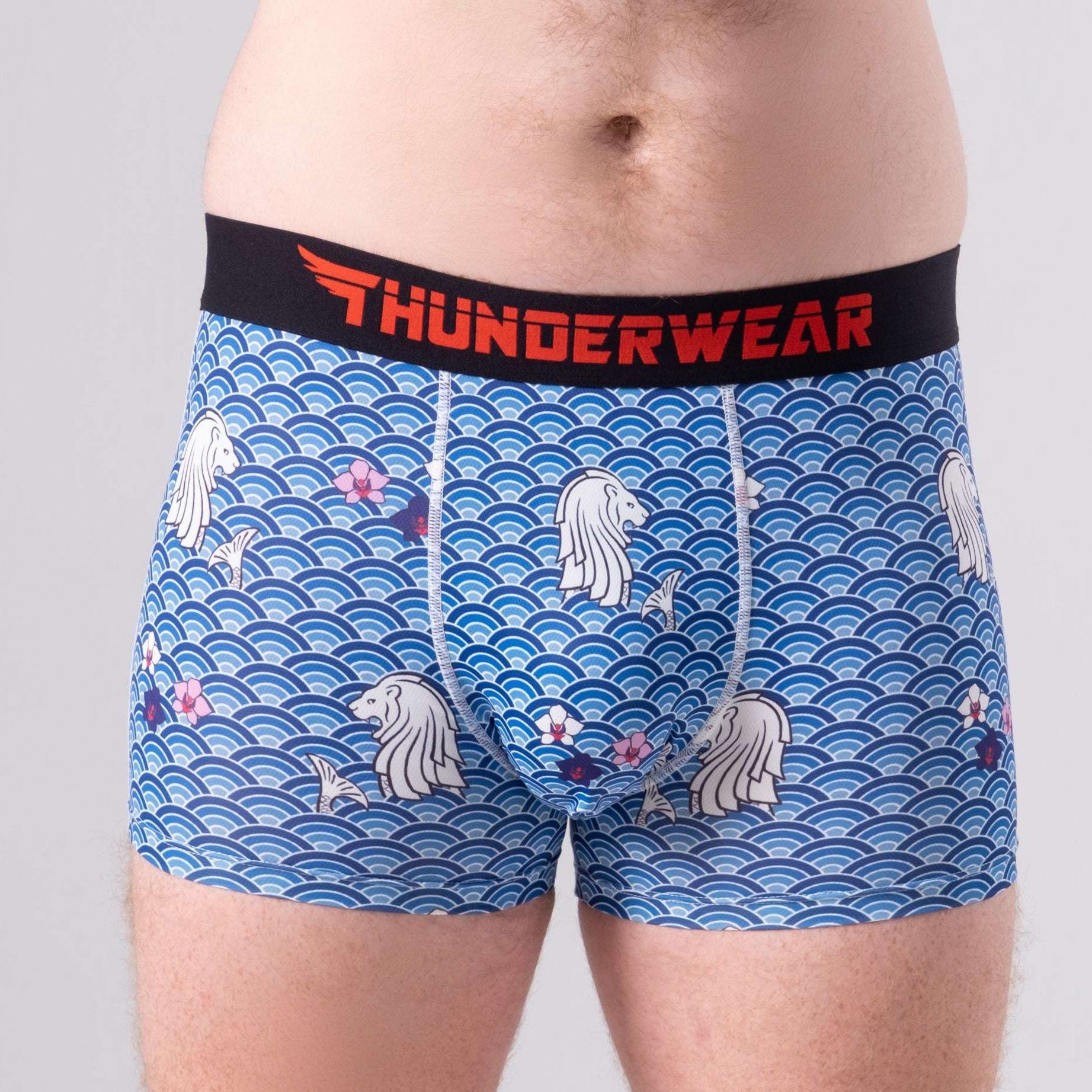 Thunderwear Singapura Proud Men's Boxers Briefs - Supporting Eve Lingerie