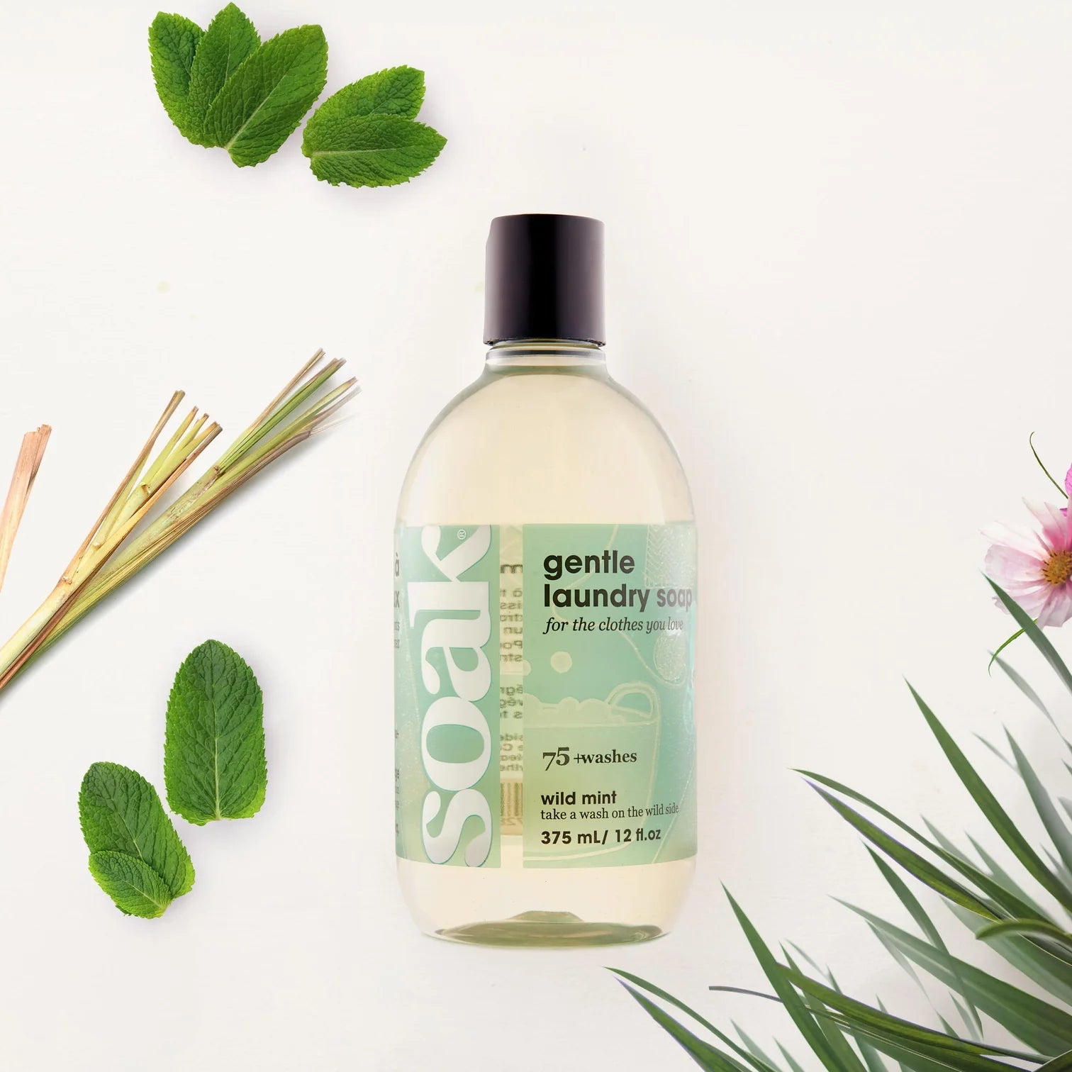 Soak Laundry Soap - Bottle 375 ml / 12 fl. oz, 75+ Washes - Supporting Eve Lingerie