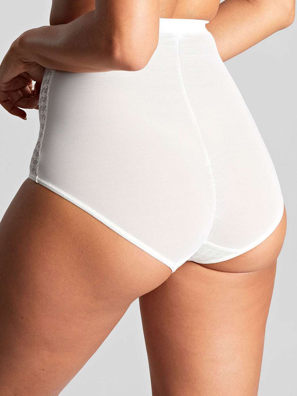 Panache Envy High Waist Shaping Brief - Supporting Eve Lingerie