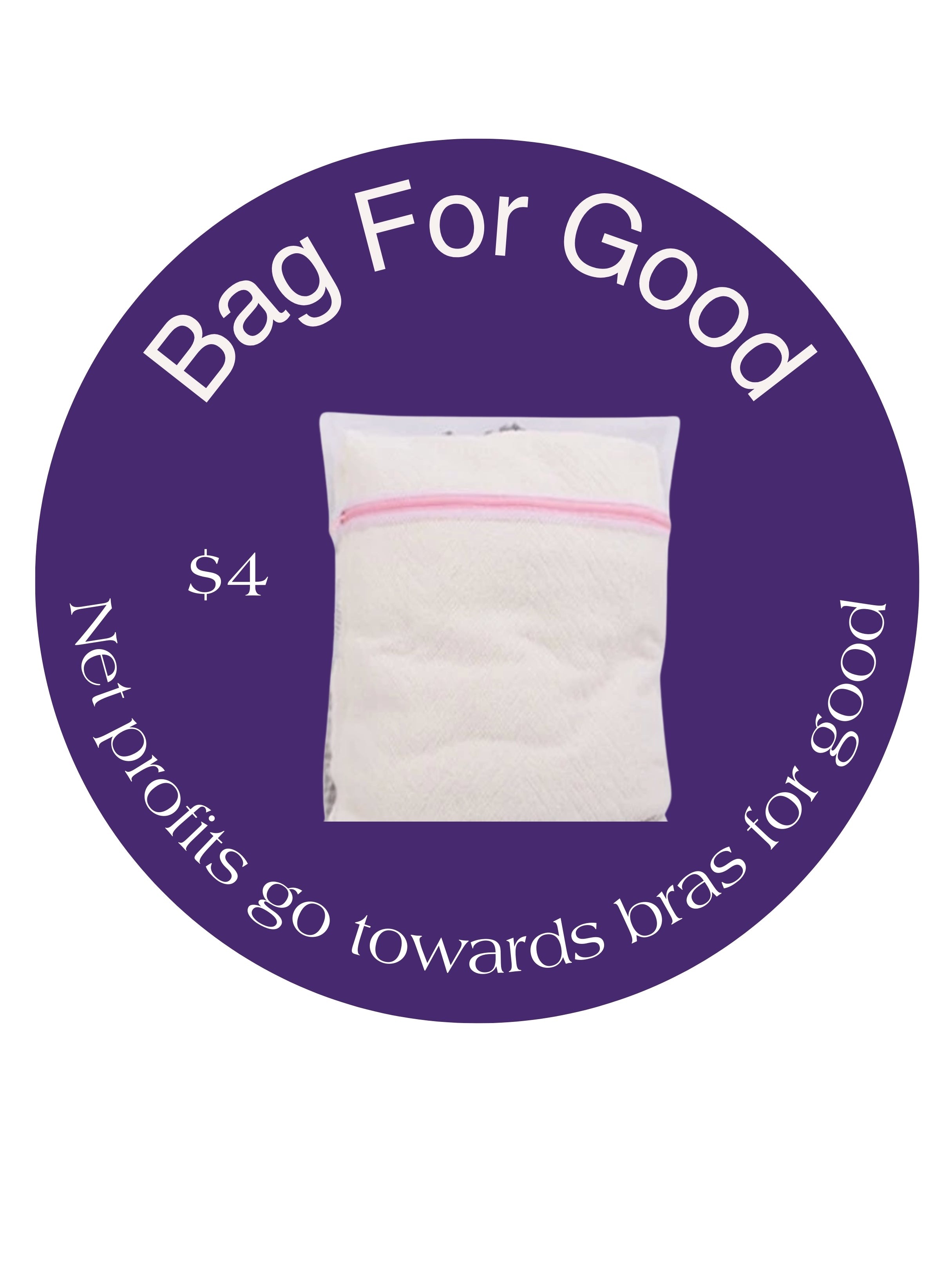 Mesh Wash Bag - Supporting Eve Lingerie